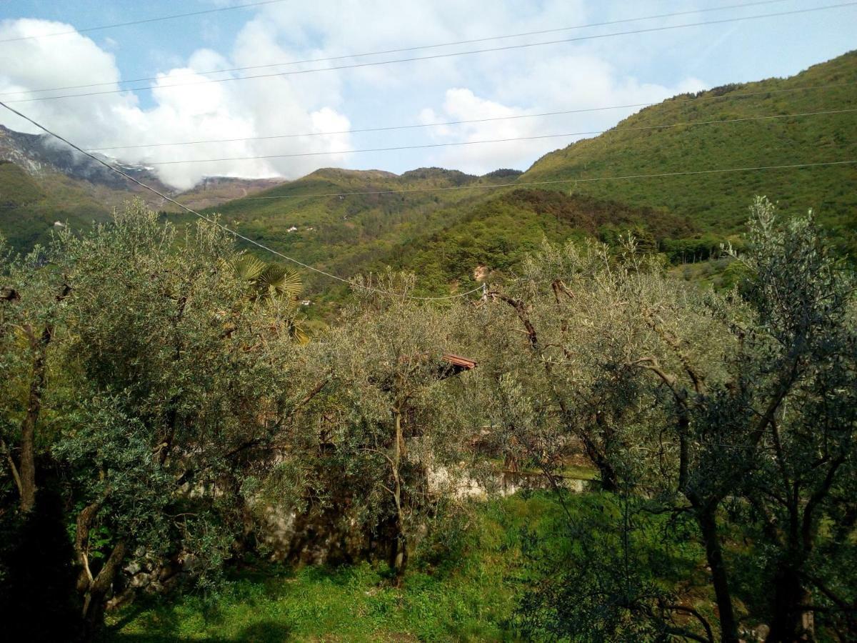 B&B Agli Ulivi Arco Bagian luar foto