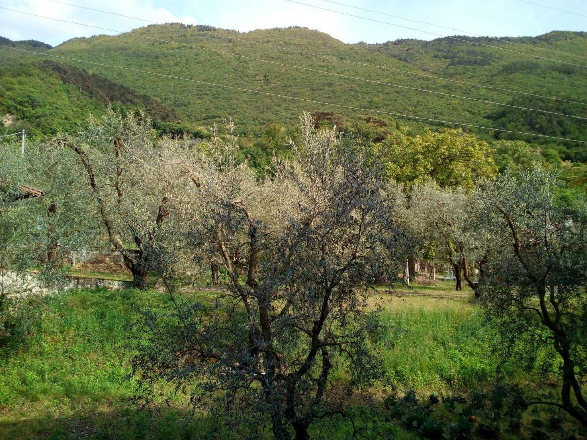 B&B Agli Ulivi Arco Bagian luar foto