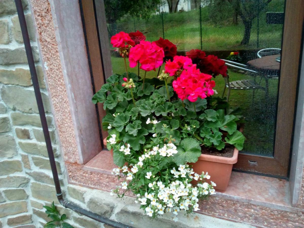 B&B Agli Ulivi Arco Bagian luar foto